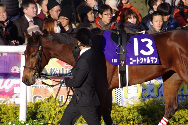 阪神JFパドック コートシャルマン