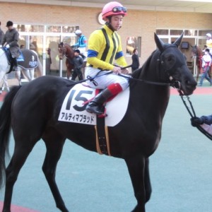 ３歳未勝利パドック