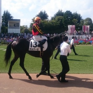 中山競馬場の芝1600ﾒｰﾄﾙ
