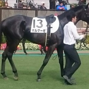 ２勝目のパドック