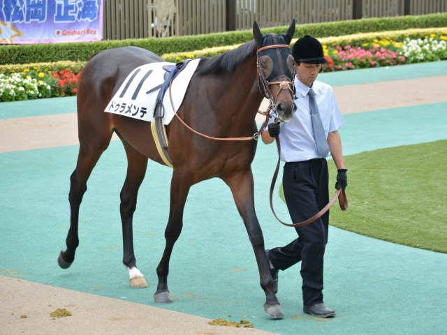 東京 ５Ｒ　２歳新馬 ドゥラメンテ