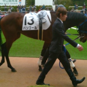 3/1 中山5R 3歳未勝利戦