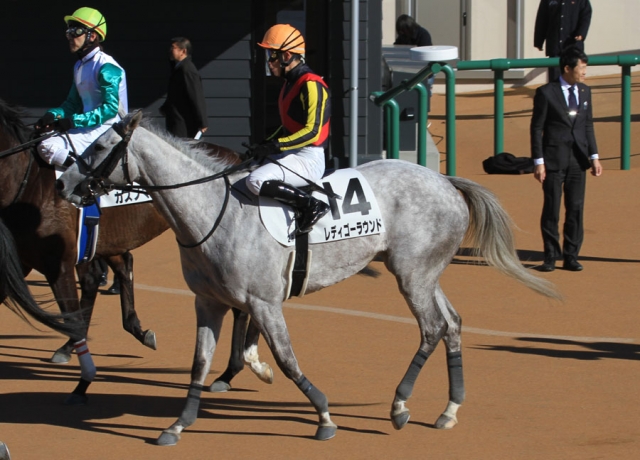 中山未勝利 レディゴーラウンド