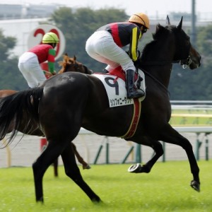 2014年10月11日　未勝利戦