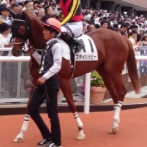 デビュー戦はGⅠ馬の2着！