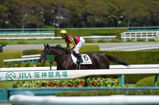 2014年9月13日　阪神６Ｒ　返し馬 ゲットクローサー