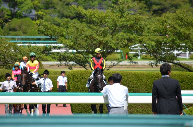 2014年9月13日　阪神６Ｒ　返し馬 ゲットクローサー