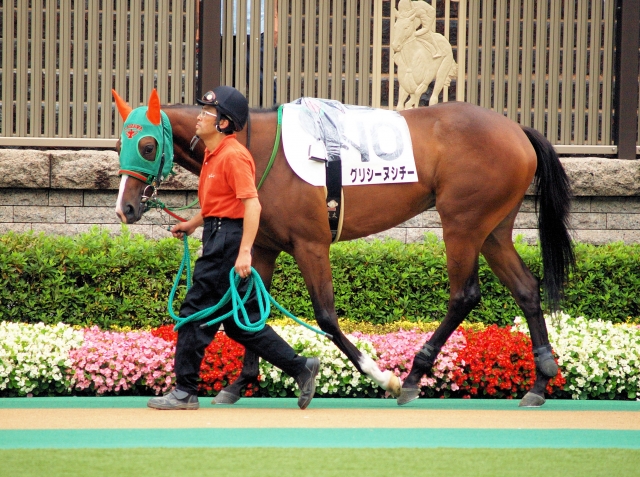 未勝利・東京１６００ グリシーヌシチー
