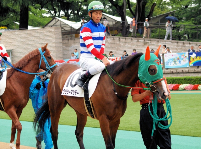 未勝利・東京１６００ グリシーヌシチー