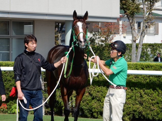 初勝利口取り風景 グリシーヌシチー