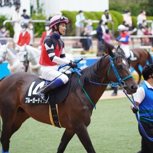 2021/9/25 清秋ジャンプS(OP)