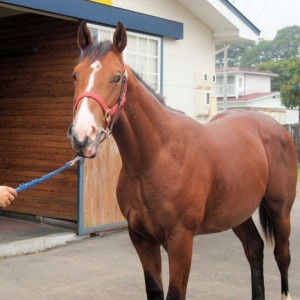 日進牧場にて２