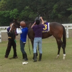 見学会イベント