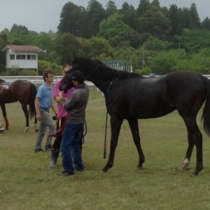 ブルー主催 牧場見学会