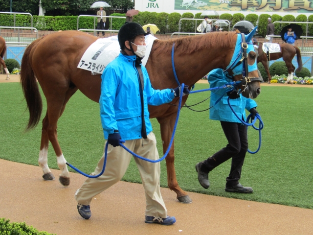 未勝利戦 パドック アースライジング