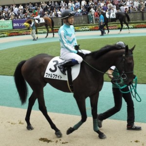 2014/10/12：２歳未勝利パドック