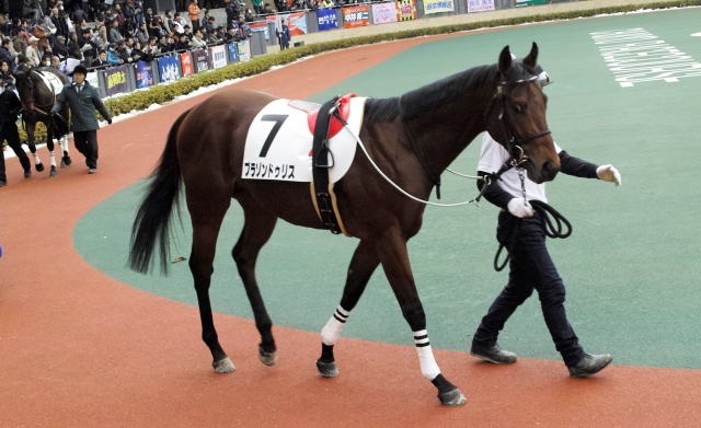 2014/12/20中京競馬場２歳新馬戦 ブラゾンドゥリス