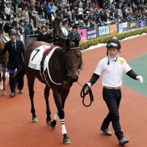 2014/12/20中京競馬場２歳新馬戦