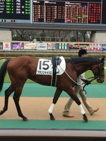 東京3R未勝利 ブラゾンドゥリス