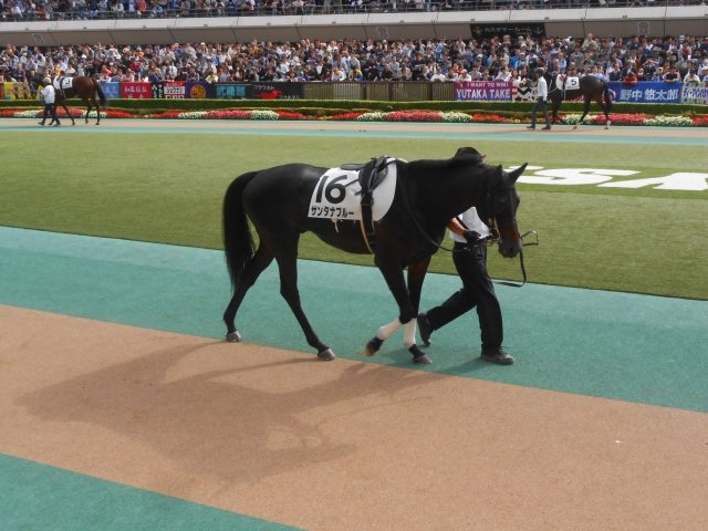 この日はあまりいいショットが撮れないサンタナブルー サンタナブルー