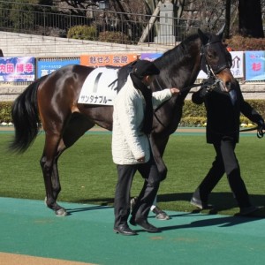 2015.01.31. 500万下 東京ダ1400