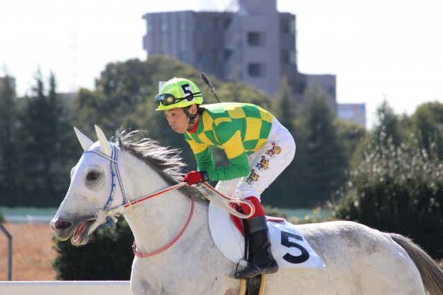 ２月２日　名古屋競馬場 レイナブランカ