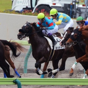 3歳未勝利