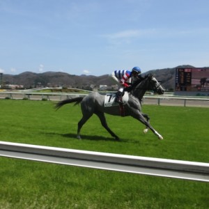 4月12日福島7R返し馬