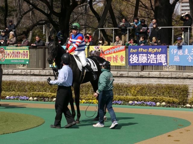 3歳未勝利戦（2015.2.21） ヴァンガードシチー