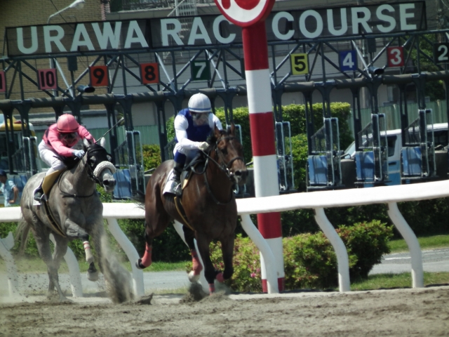 5/26浦和　初勝利の直線 ブルーメーア