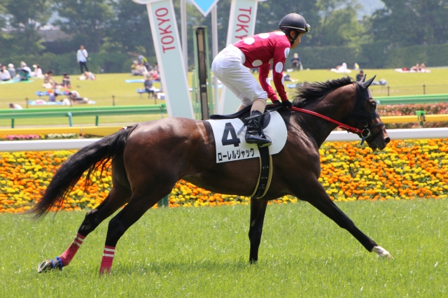 返し馬 ローレルジャック