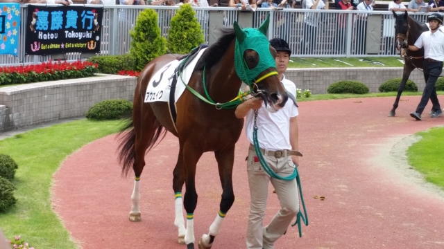 2016/7/31 新潟 3歳上500万下 アウェイク