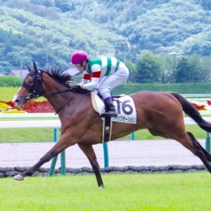 初勝利ゴール板前