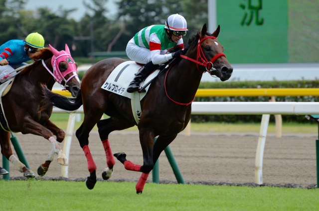 2歳新馬 レース ケルフロイデ