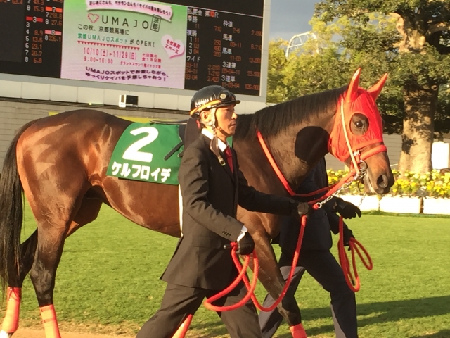 茜色に輝く馬体 ケルフロイデ