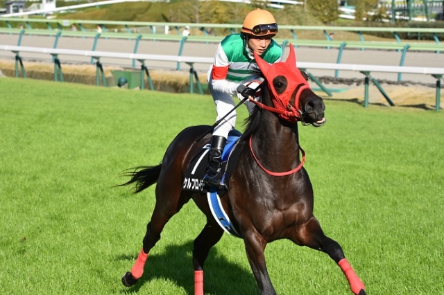 返し馬 ケルフロイデ