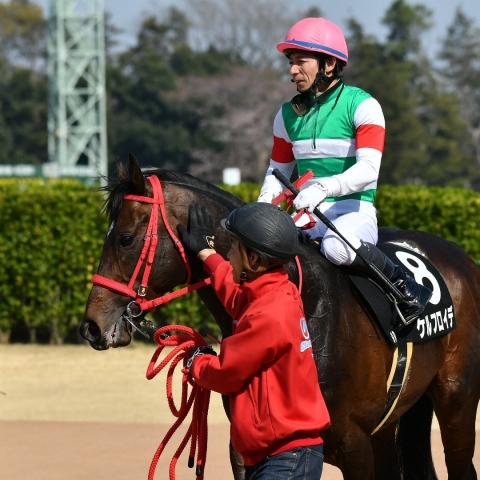 レース後 ケルフロイデ