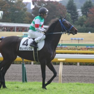 新馬戦　返し馬