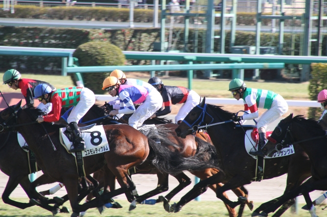 未勝利　直線 ラレッサングル