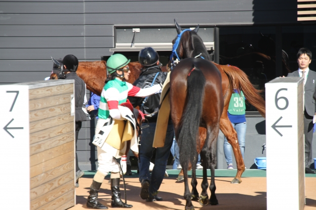 未勝利　検量室前 ラレッサングル