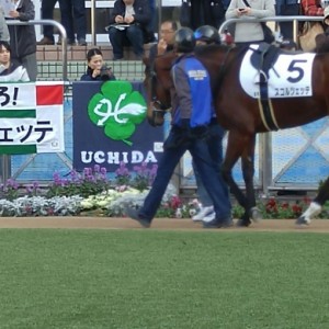 デビュー戦パドック