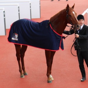 待望のオープン入り