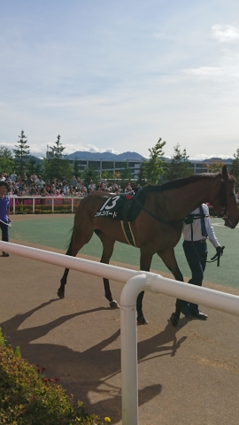 コルコバード丹頂ステークスパドック コルコバード