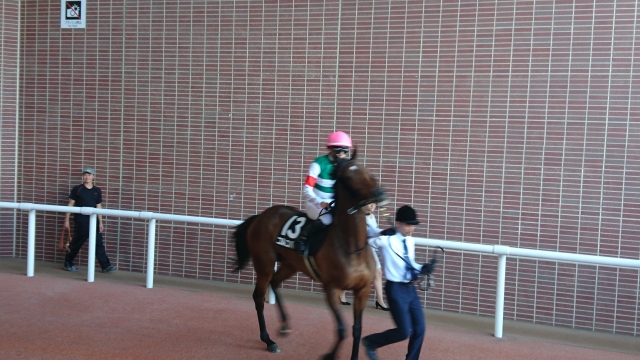 本馬場入場 コルコバード