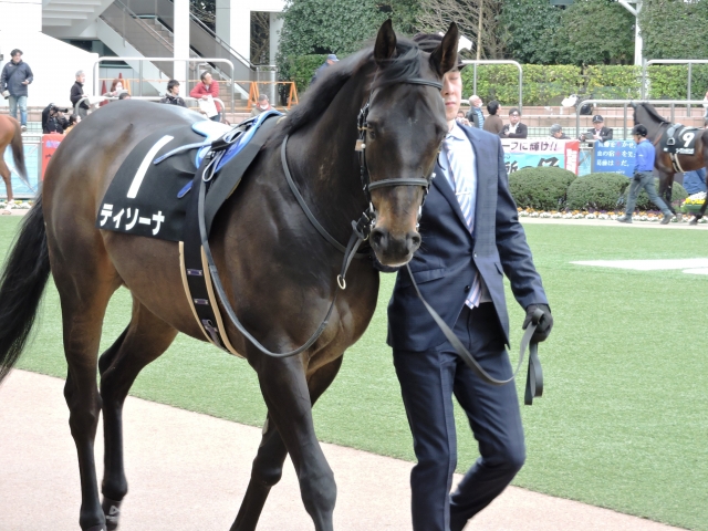 ちょっと太め。。。（幕張S） ティソーナ
