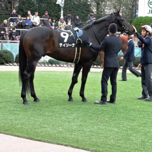 常総S🏇パドック②