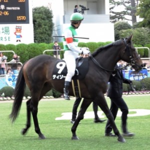 常総S🏇パドック③