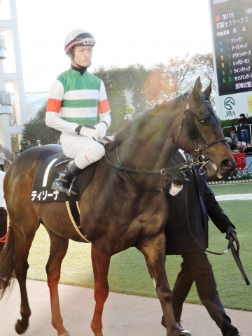 初富士S🏇パドック⑤ ティソーナ