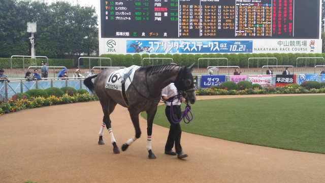 2勝目のパドック ブランシェクール