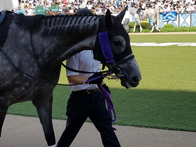 似合ってる? ブランシェクール